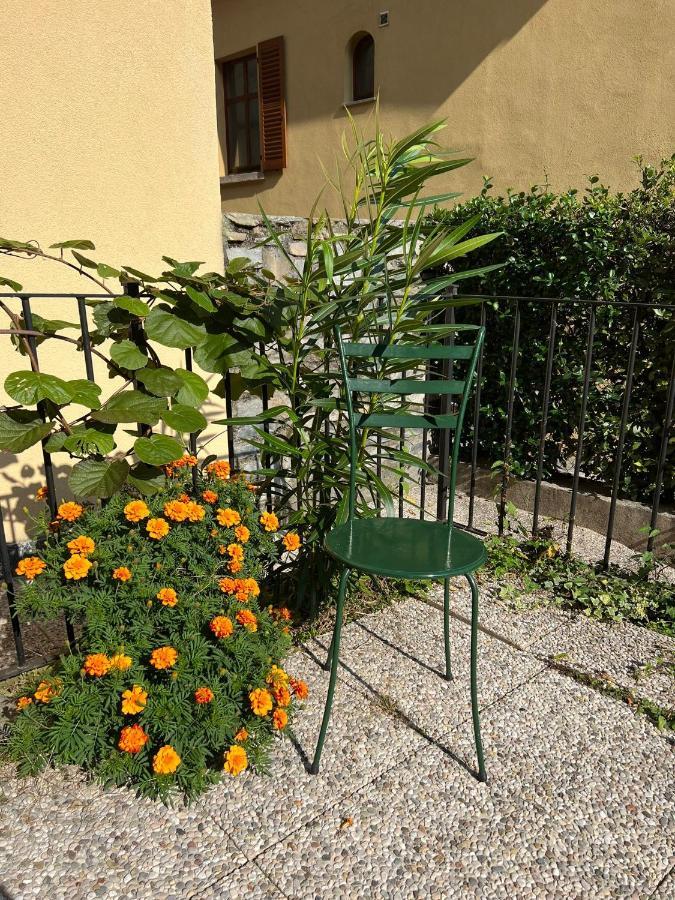 Lakeview Lakecomo, Cipresso 7, 4Seasons, Terrace, 30M To Lake! By Stayhere-Lakecomo Acquaseria Exterior foto
